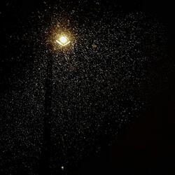 Particle Descent