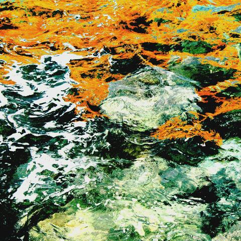 Wet Paint