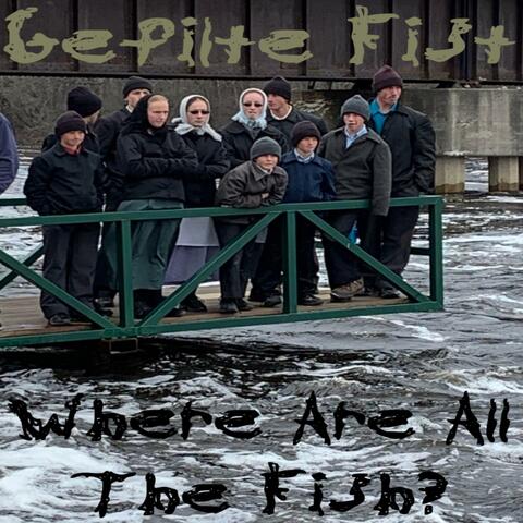 Where Are All The Fish?