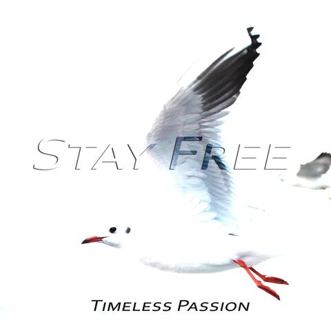 Stay Free (feat. Gal Hornstein & Chris Bouchard)