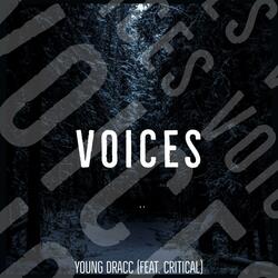 VOICES (feat. CRITICAL)