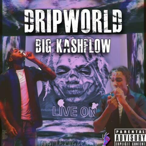 Drip World
