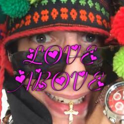 drop out of school, quit your job!