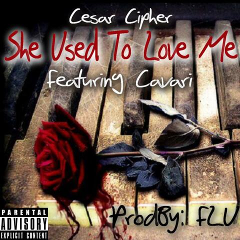She Used To Love Me (feat. Cavari)