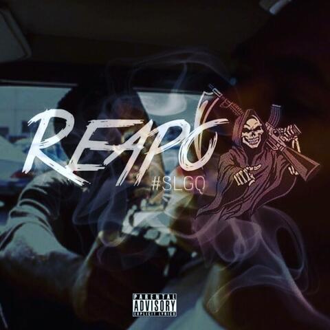 Issa Reapo