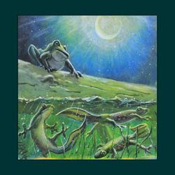 The Frog Books Return From Their Long Absence In Parts Unknown