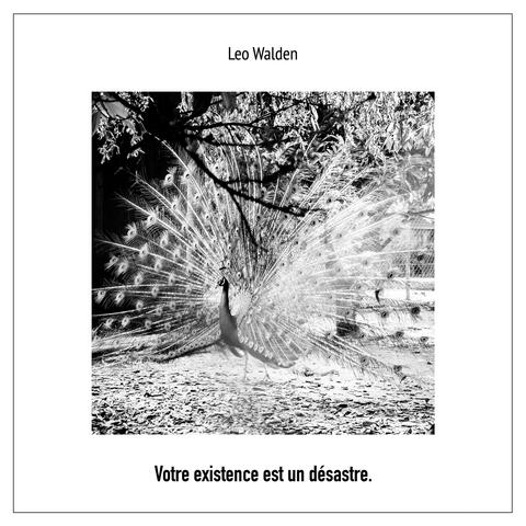 Votre existence est un désastre