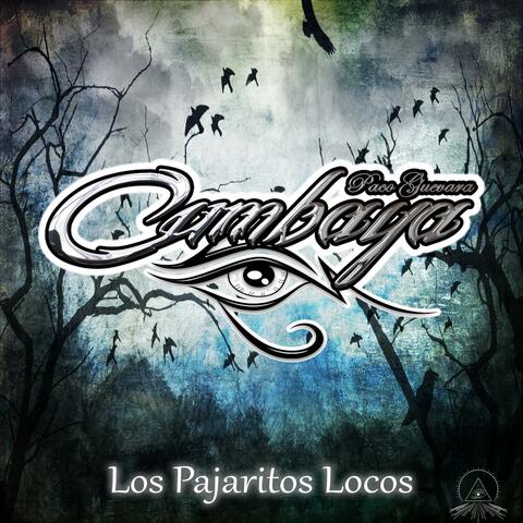 Los Pajaritos Locos