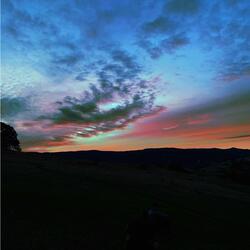 Evening Movement