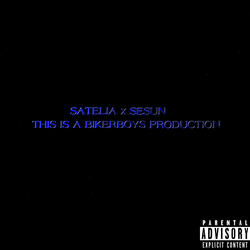 BARA FEL (feat. SADCAT)