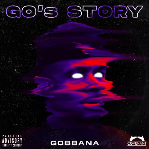 Go's Story