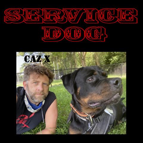 Service Dog
