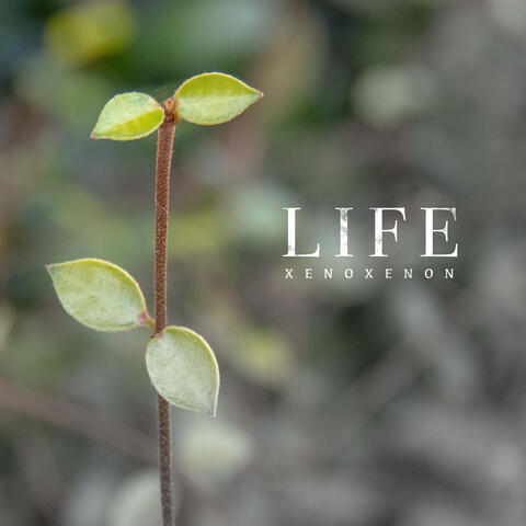 Life