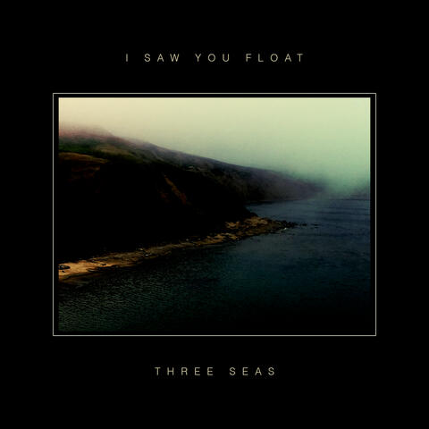 I Saw You Float
