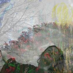 Heart of Joy (Iva Cehic, HaD)