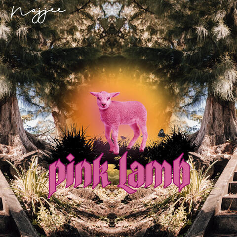 Pink Lamb