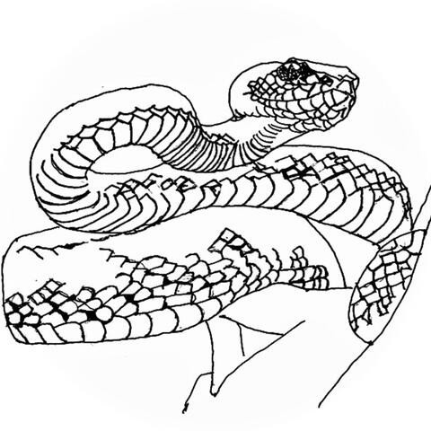 Snake (feat. big bambüu)