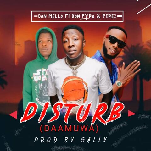 Daamuwa We dey disturb (feat. Don Pyro & perez Myeye)