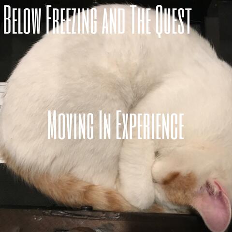 Moving In Experience