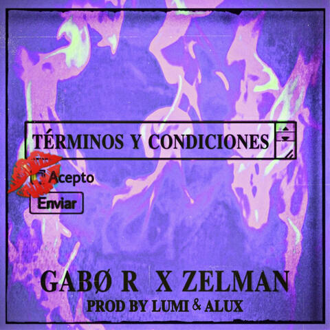 Terminos y Condiciones (feat. Zelman, Lumi & Alux)