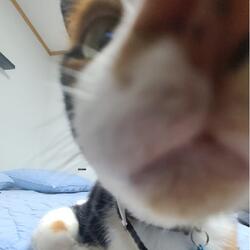 Never Meant? Lol I definitely meant...