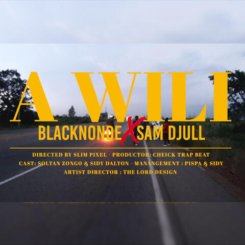 A Wili (feat. Sam Djul)