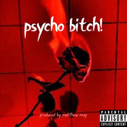 Psycho Bitch