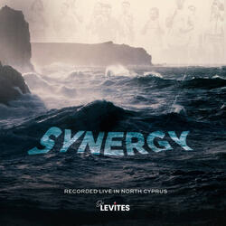 Synergy (In This Season) (feat. Keryl Mcjohnson)