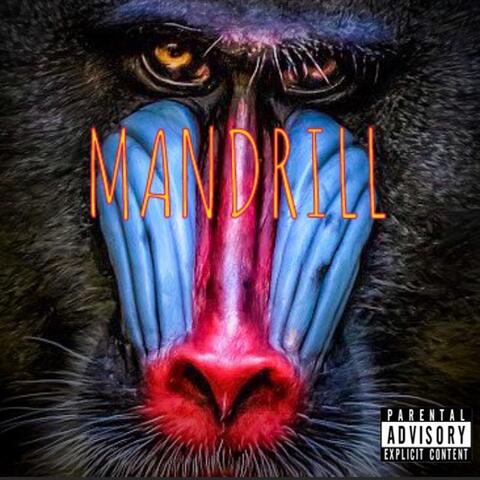 Mandrill
