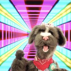 Top Dog (feat. Emjay)