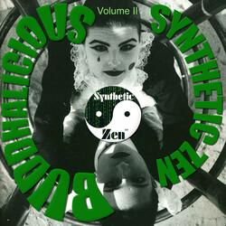 Trip Through Synthville