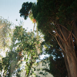 Close to See (feat. Vixxle)