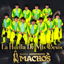Vamos A Darnos Un Tiempo