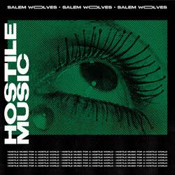 Hostile Music