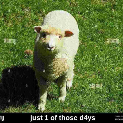 "just 1 of those d4ys"