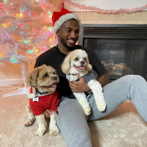 Under the tree