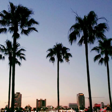 L.A Noches (Radio Edit)