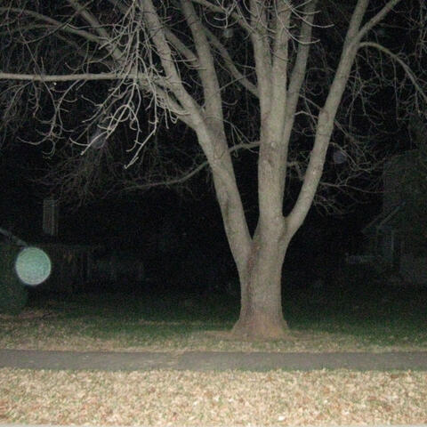 haunted euphoria