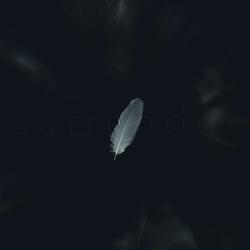 Surrender & Let Go (Voice Memo)