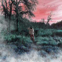 Don't Leave (feat. Lil X)