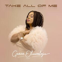 Take All Of Me