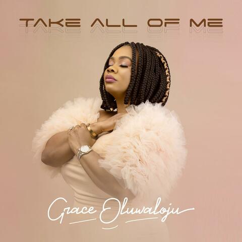 Take All Of Me