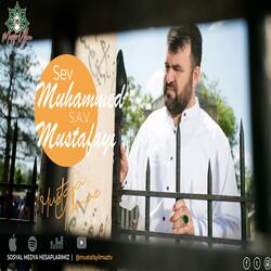 Sev Muhammed (S.A.V.) Mustafa'yı