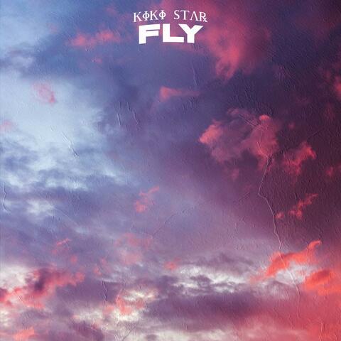 Fly