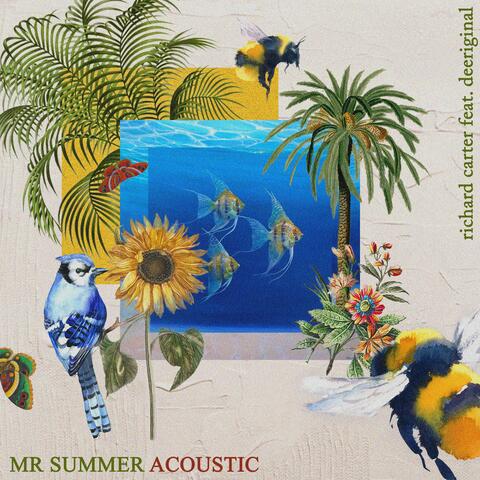 Mr Summer (feat. Searching For Sergio) [Acoustic]