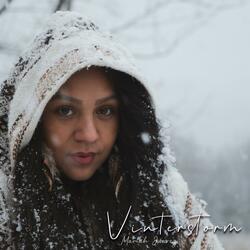 Vinterstorm