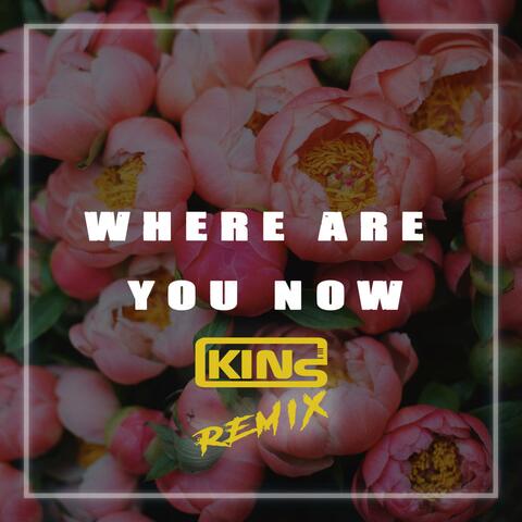 Where Are You Know (Remix)