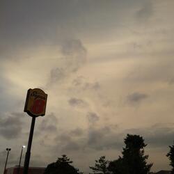 Last One Out, Hit The Lights