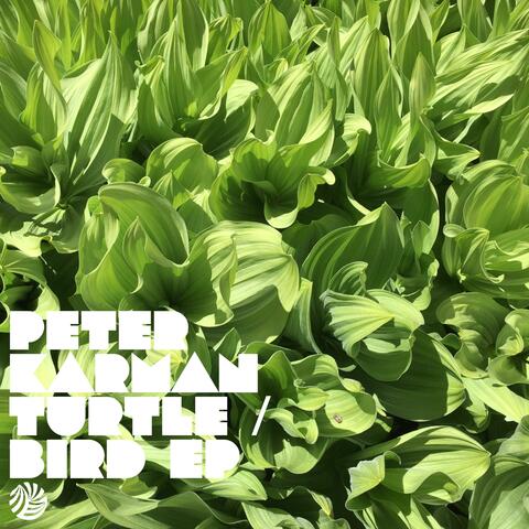 Turtle / Bird EP