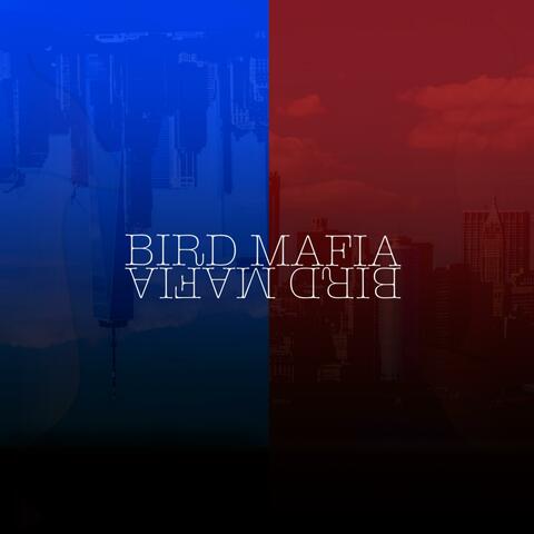 BIRD MAFIA